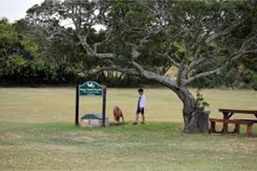 0 Bedroom Property for Sale in Royalston Residential Estate and Wildlife Reserve Eastern Cape